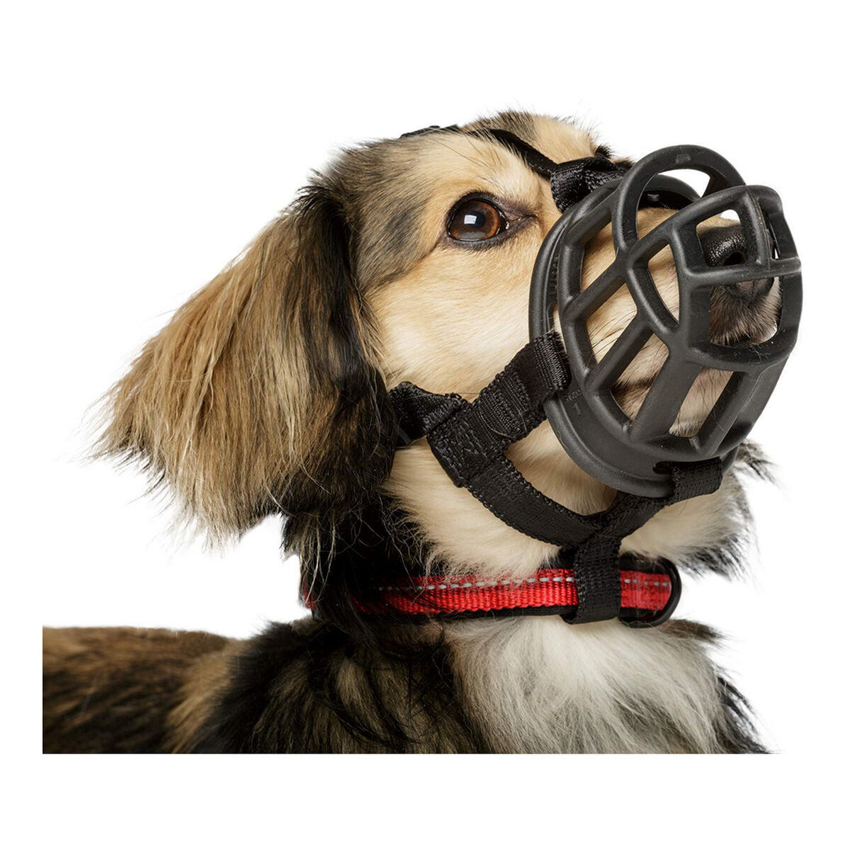 Muzzle Company of Animals Baskerville Ultra Black (5 x 22 cm) - Majpet