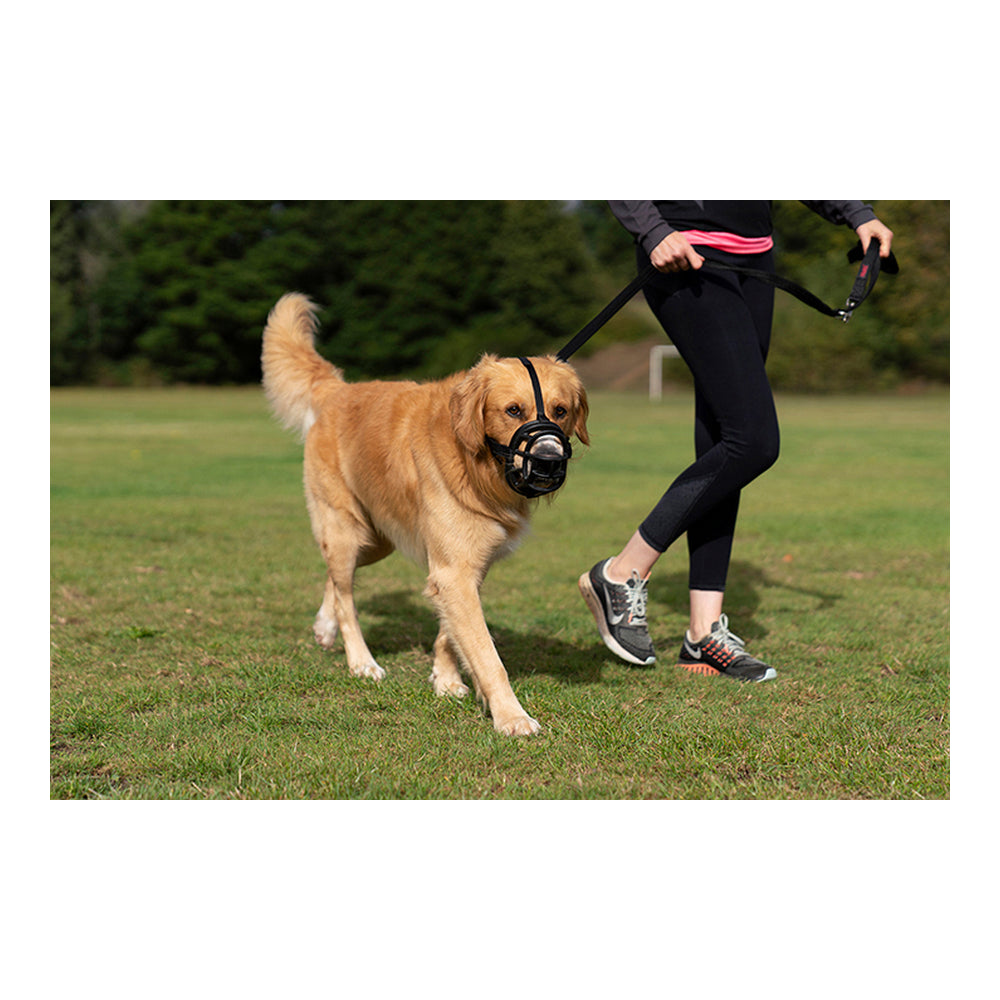 Muzzle Company of Animals Baskerville Ultra Black (5 x 22 cm) - Majpet