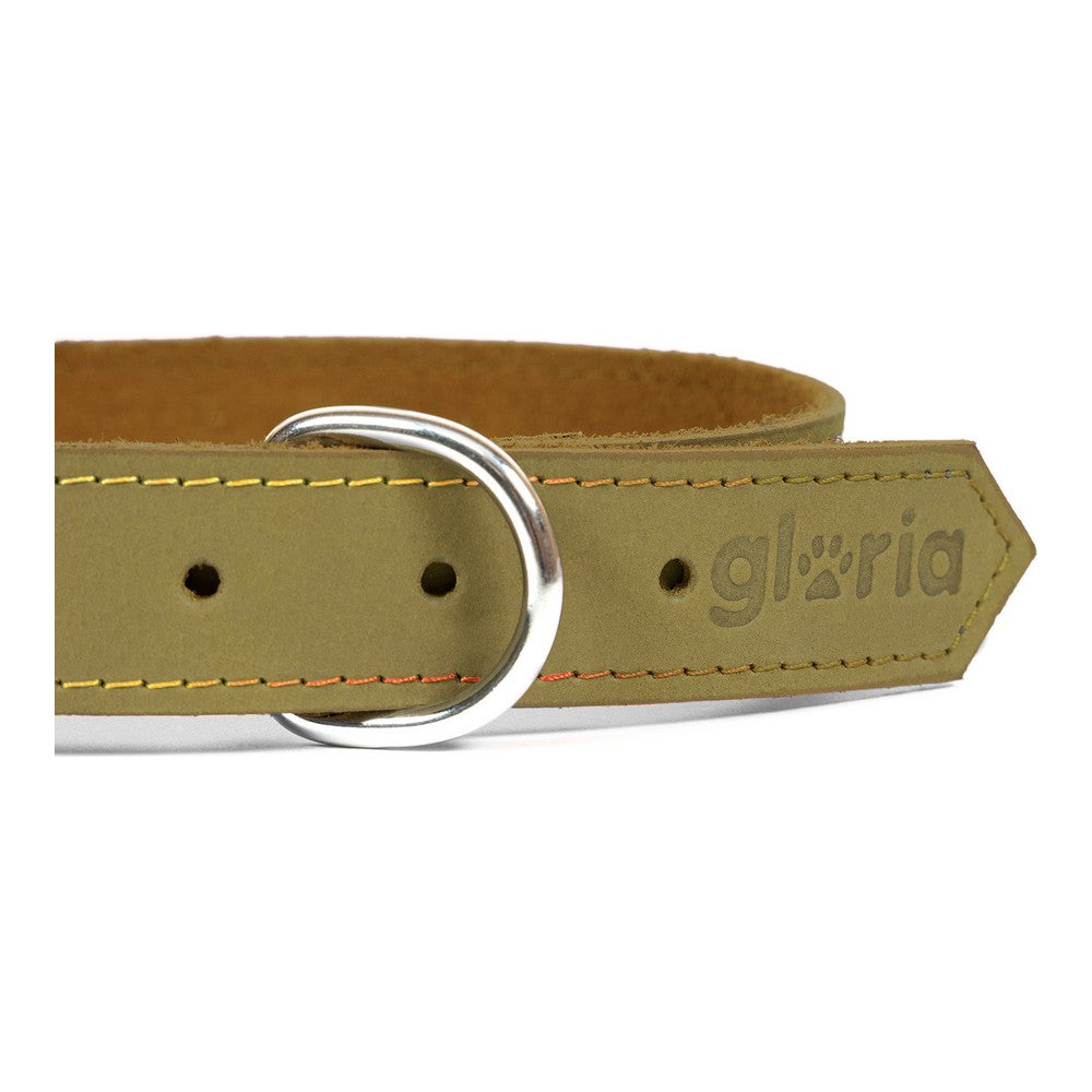Dog collar Gloria Oasis Green (50 x 2,1 cm) - Majpet