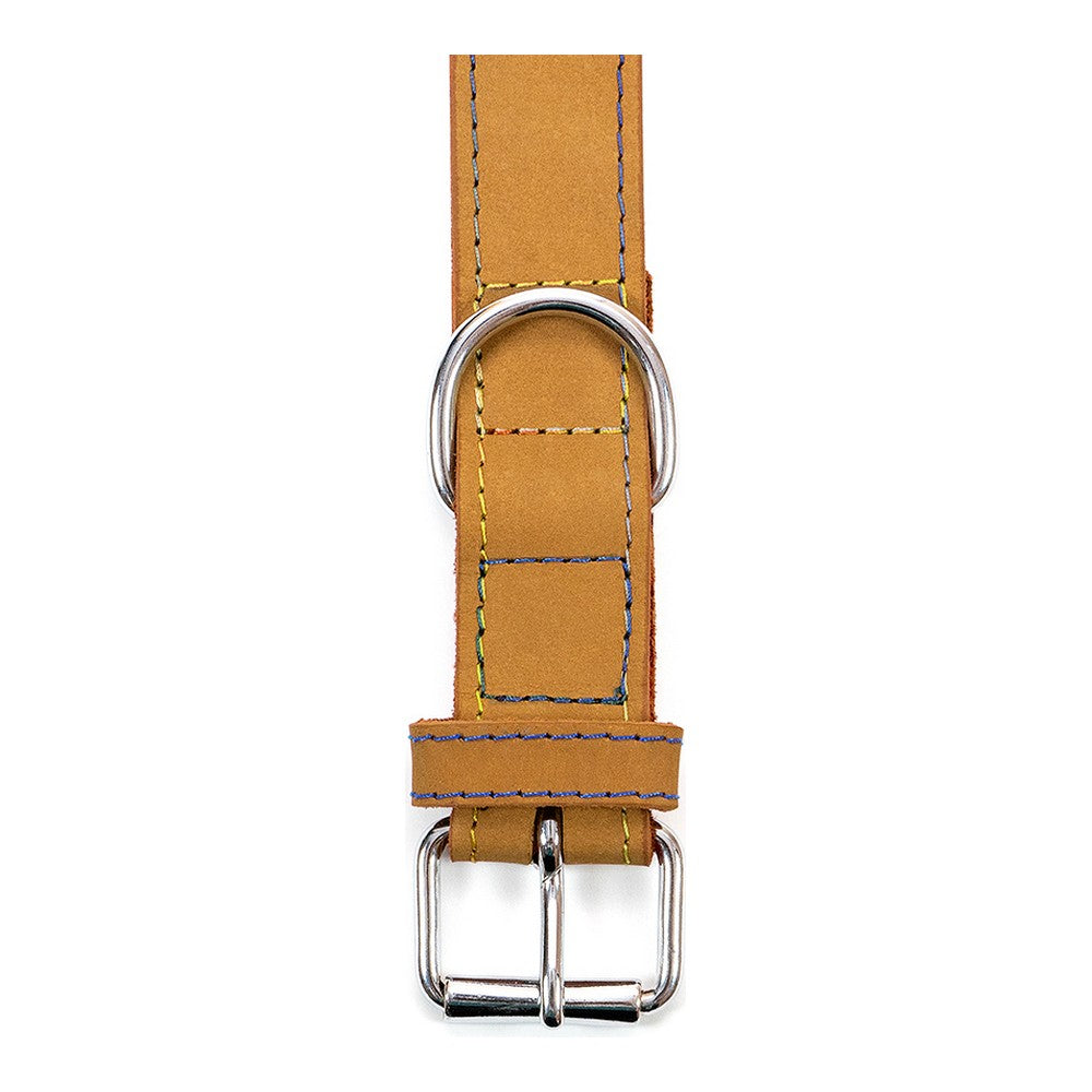Dog collar Gloria Oasis Yellow (35 x 1,2 cm) - Majpet