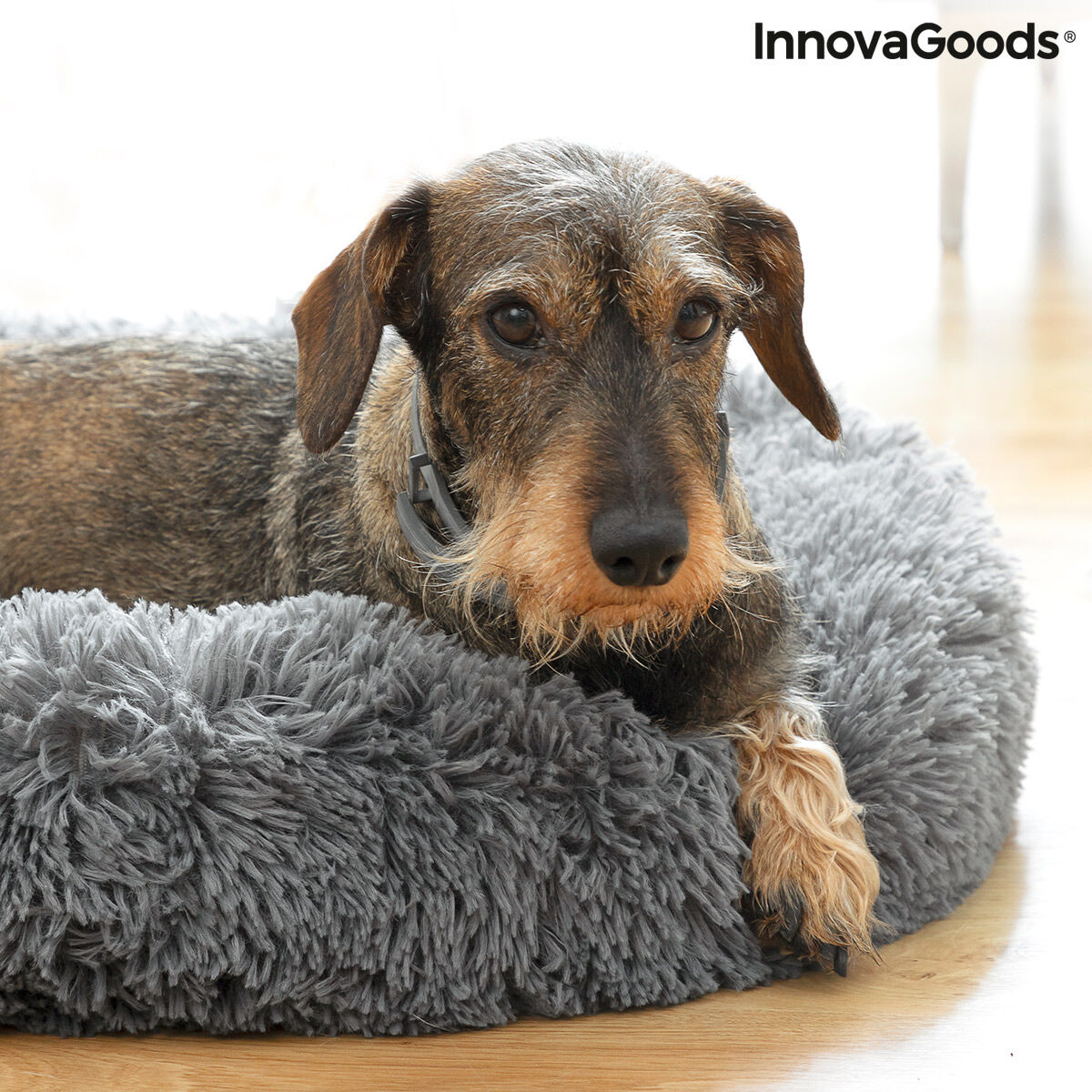 Anti-stress Pet Bed Bepess InnovaGoods Ø 60 cm - Majpet