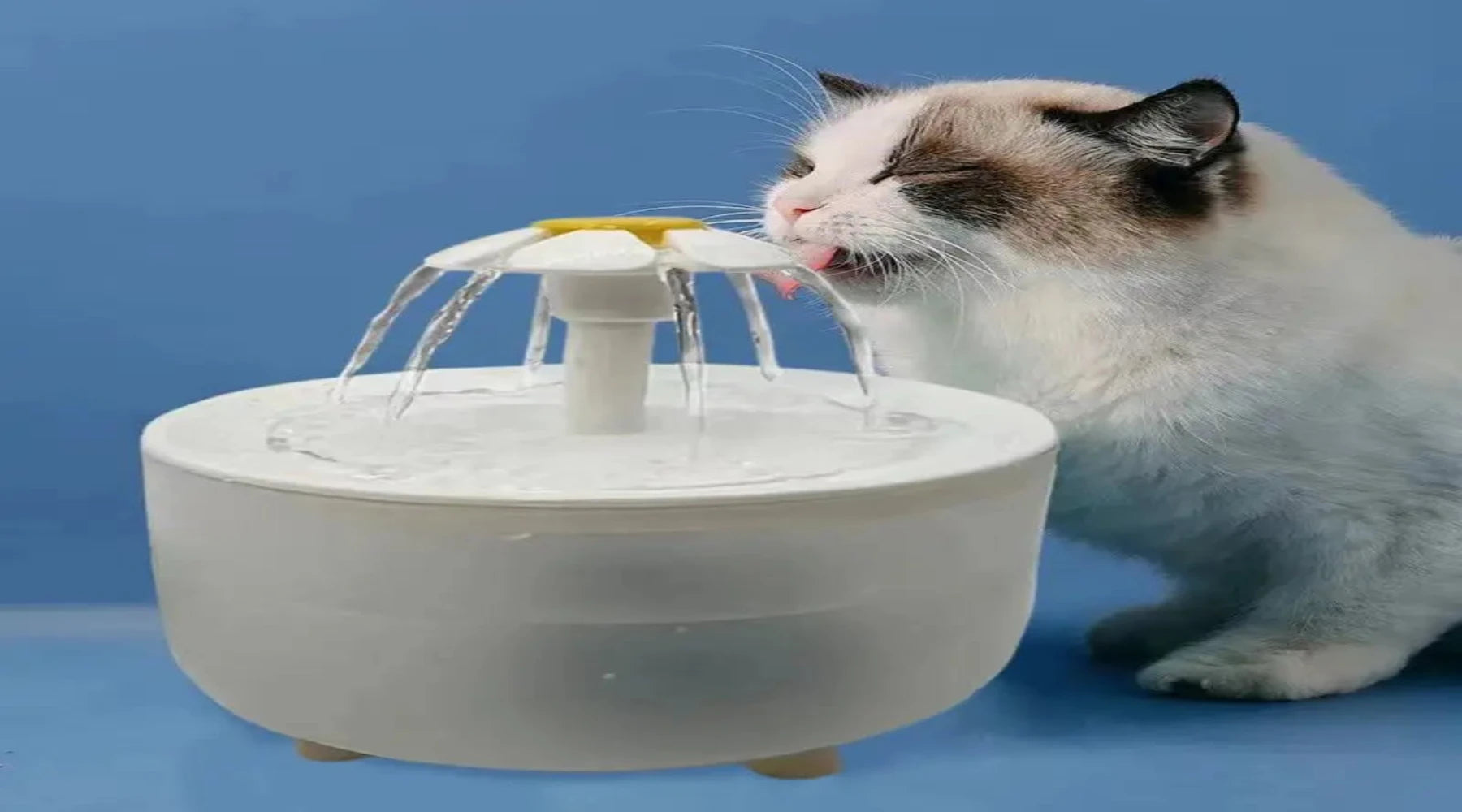 Pets Water Fountain Auto Filter USB Electric Mute Cat Drinker Bowl - Majpet