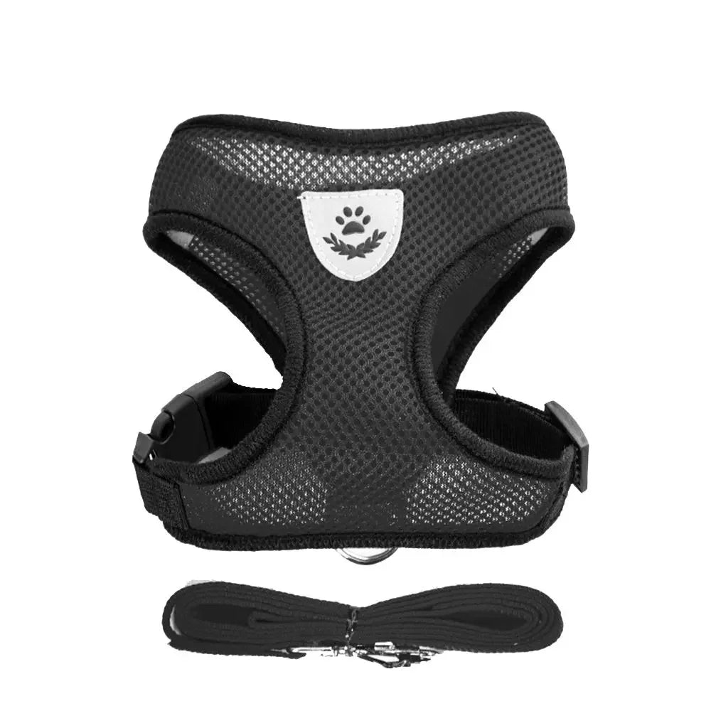 New Pet Walking Gog Walking Cat Chest Strap Outdoor Traction Rope - Majpet