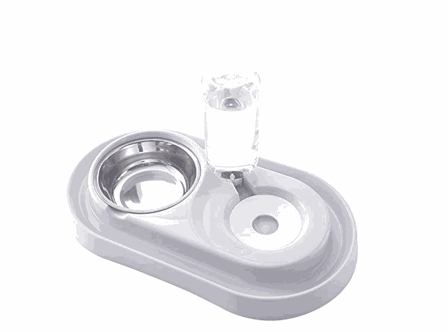 Stainless Steel Pet Bowls with Automatic Water Bottle - Majpet