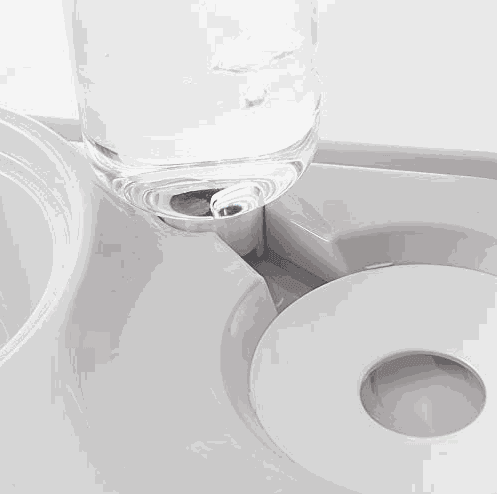 Stainless Steel Pet Bowls with Automatic Water Bottle - Majpet