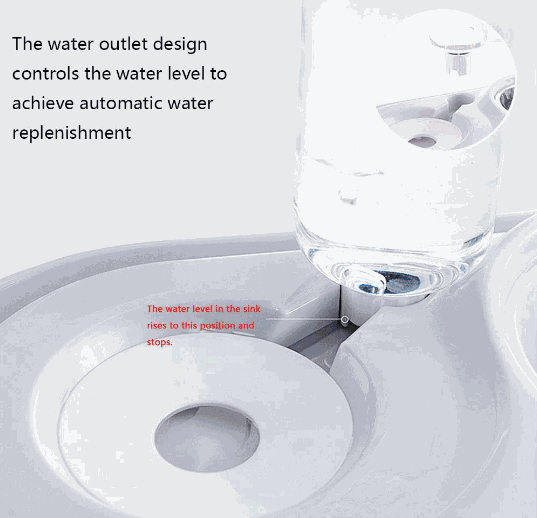 Stainless Steel Pet Bowls with Automatic Water Bottle - Majpet