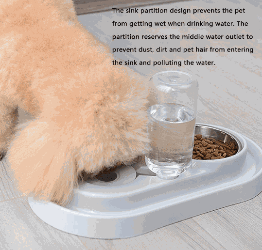 Stainless Steel Pet Bowls with Automatic Water Bottle - Majpet