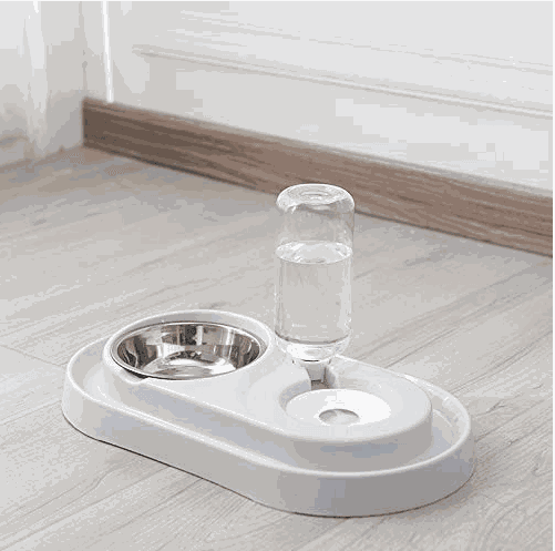 Stainless Steel Pet Bowls with Automatic Water Bottle - Majpet