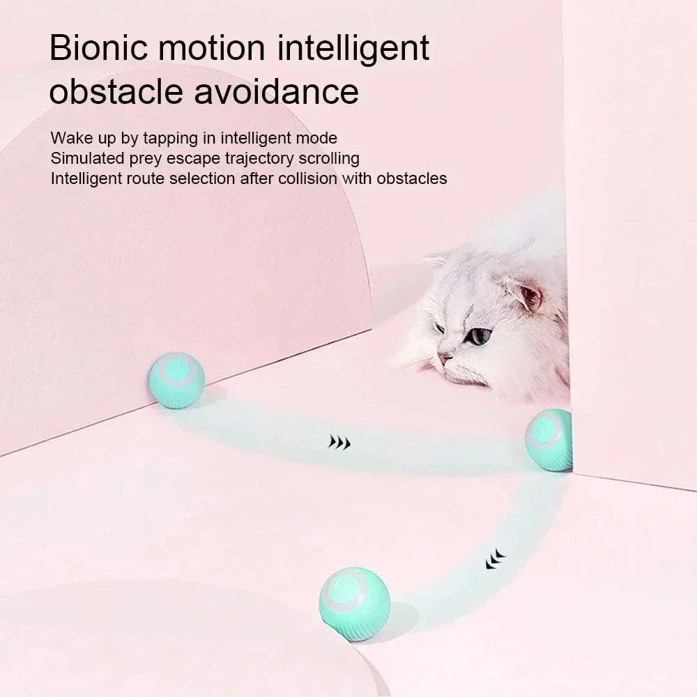 Interactive Cat Toy Ball 360° Automatic Rotating Rolling Ball - Majpet