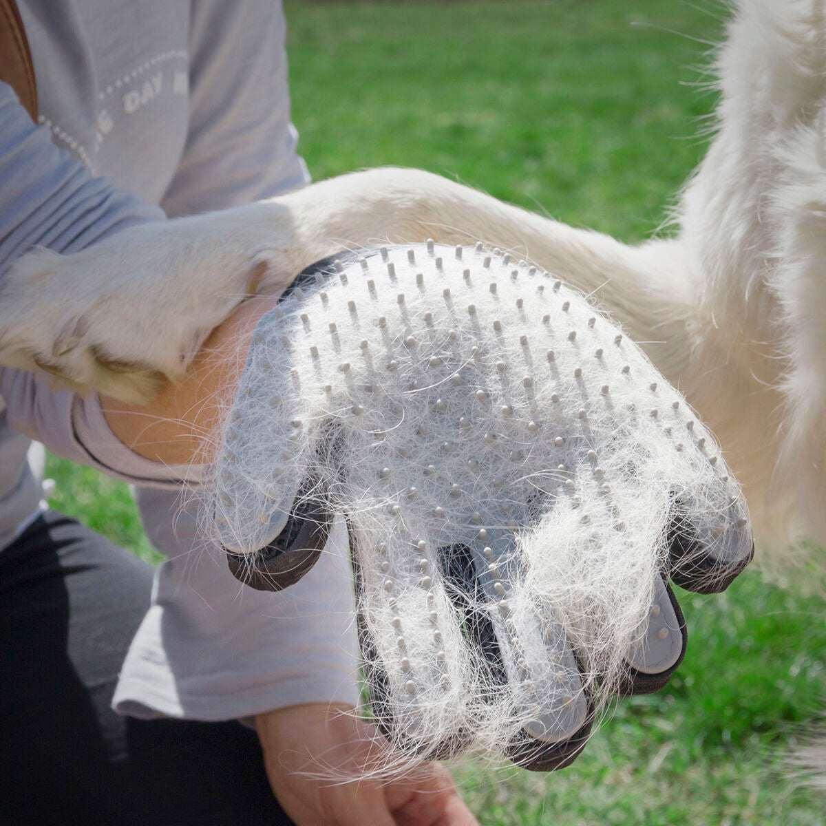Pet Brush & Massage Glove Relpet InnovaGoods - Majpet
