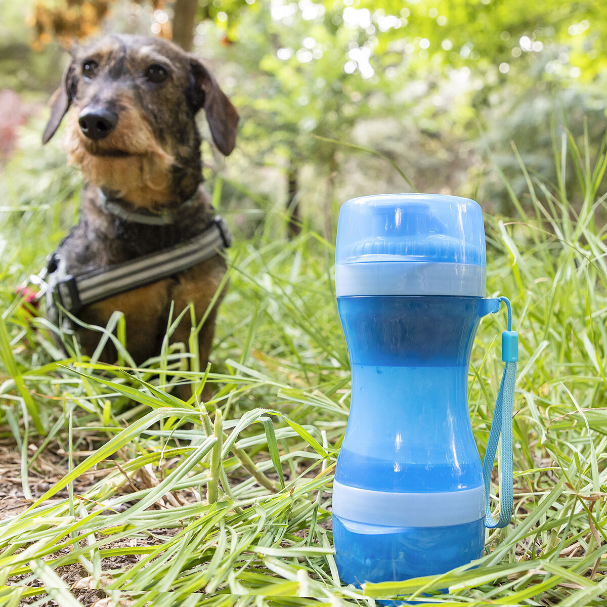 2-in-1 bottle with water and food containers for pets Pettap - Majpet