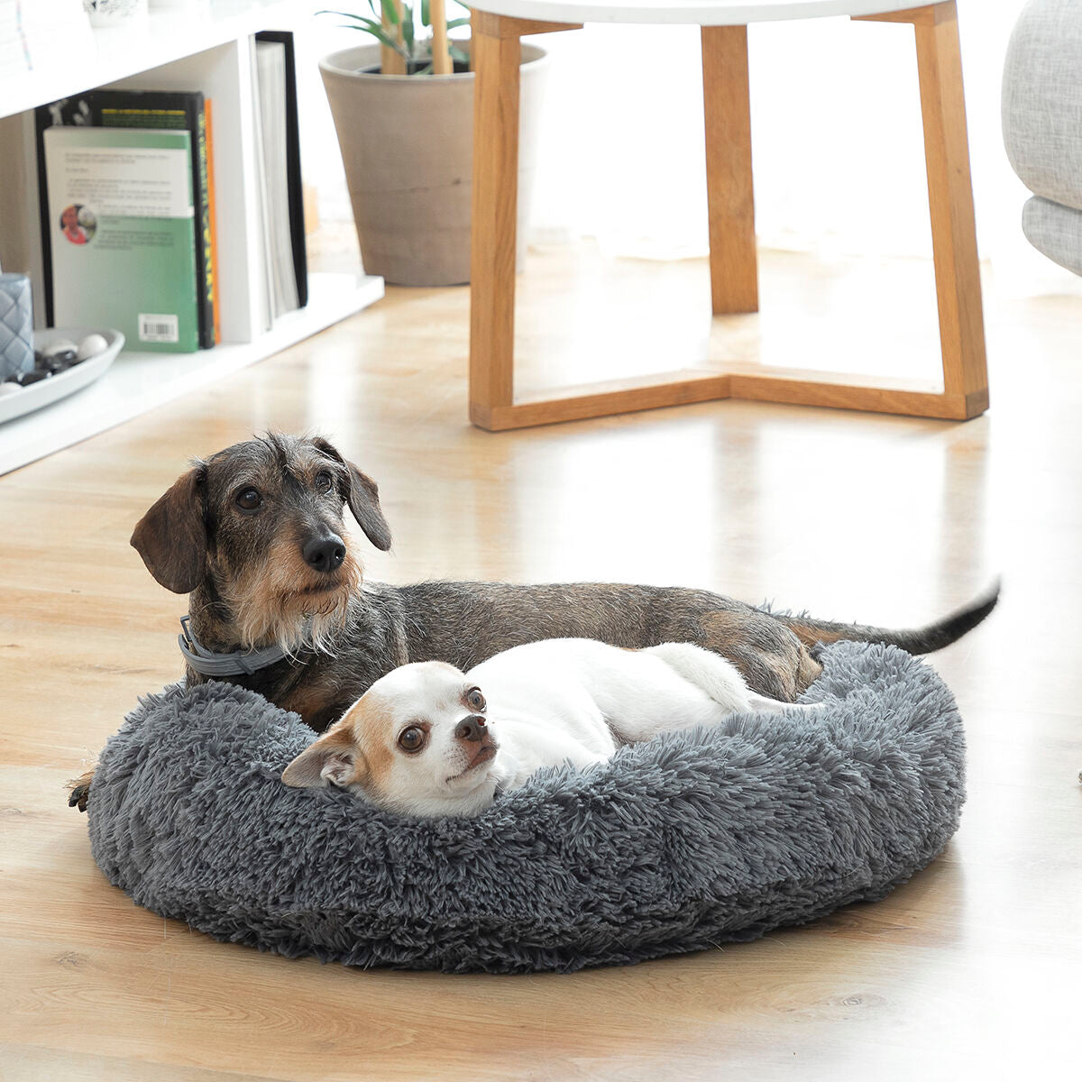 Anti-stress Pet Bed Bepess InnovaGoods Ø 60 cm - Majpet