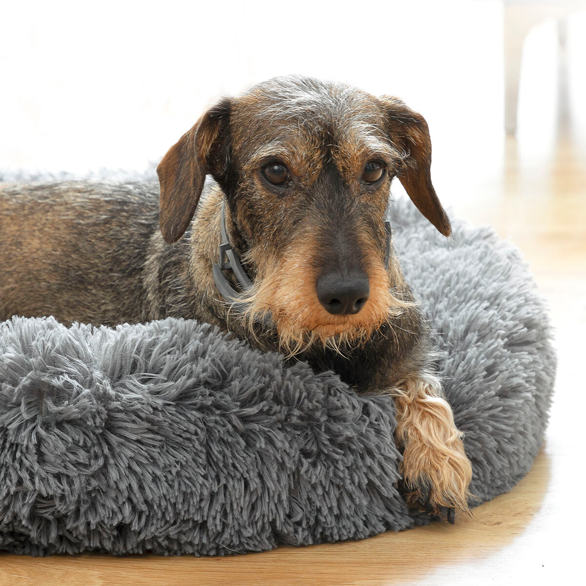 Anti-stress Pet Bed Bepess InnovaGoods Ø 60 cm - Majpet