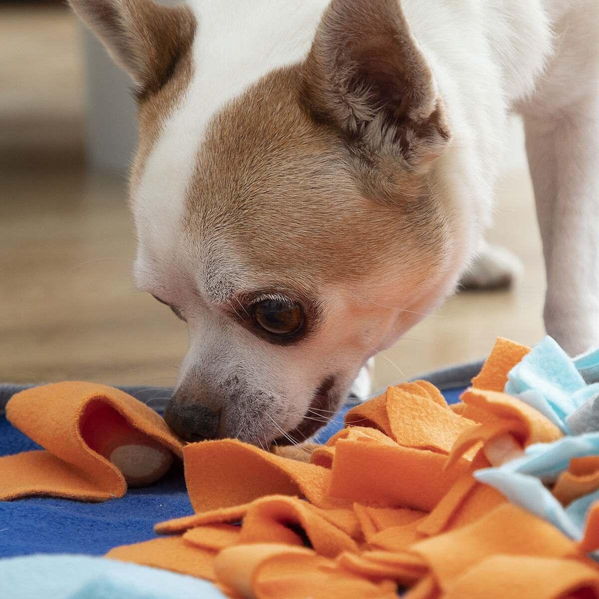 Sniffing Mat for Pets Fooland InnovaGoods - Majpet