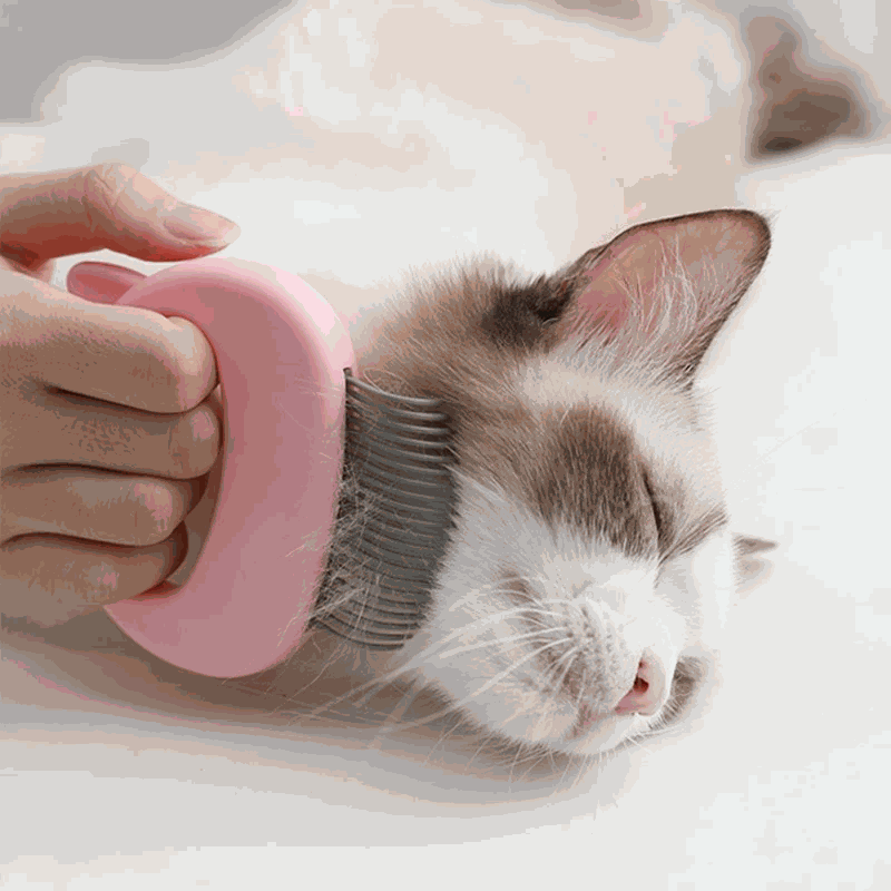 Pet Massage Brush Pet Grooming Massage Tool To Remove Loose Hairs - Majpet