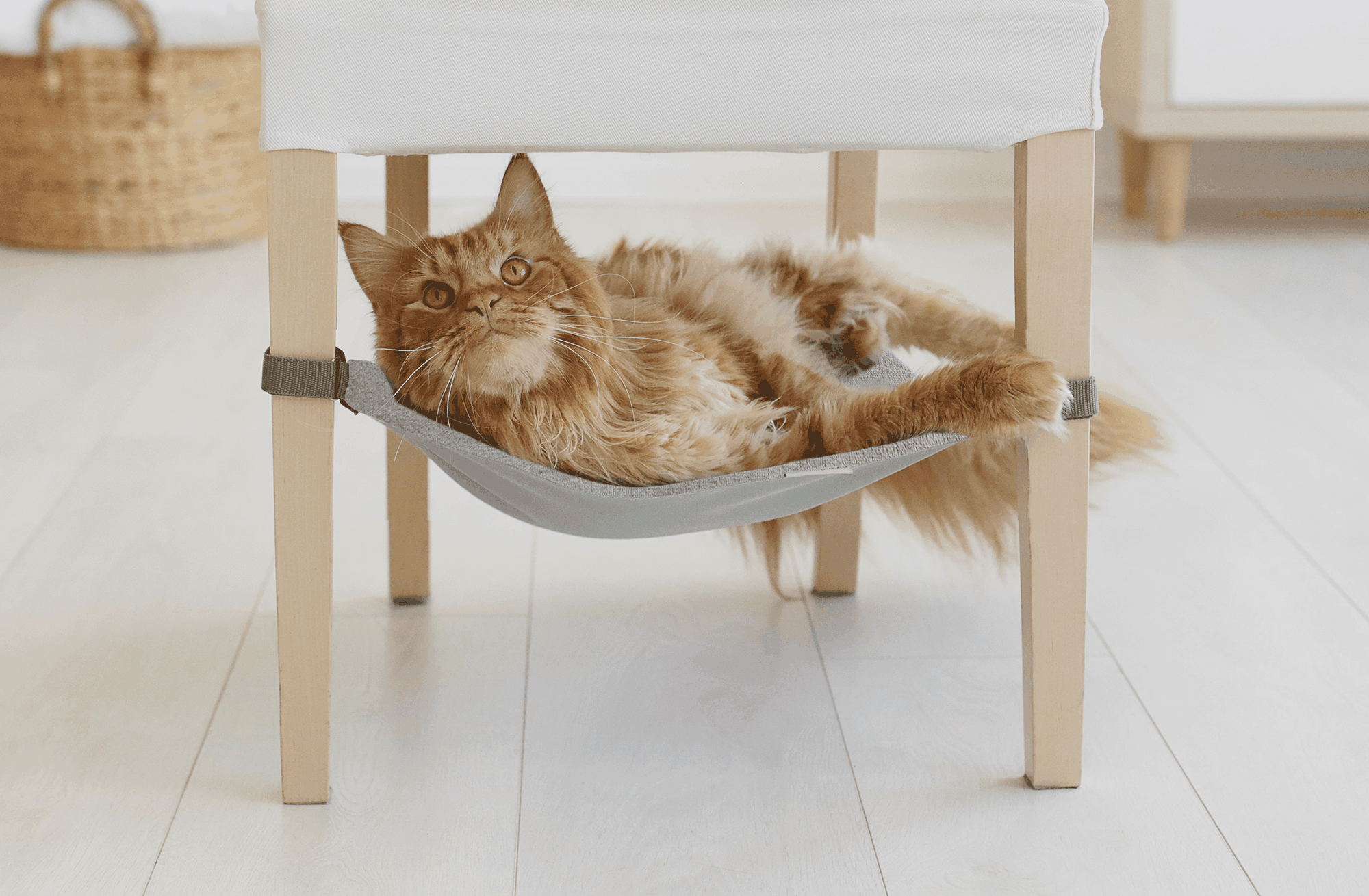 PEARL RIVER Saveplace® light grey hammock for pets & storage - Majpet