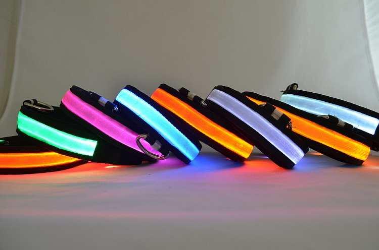 LED Light Dog Collar - Majpet