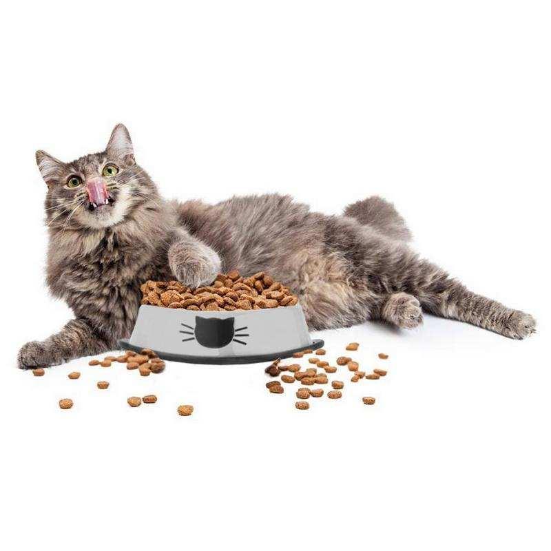 High Quality Stainless Steel Pet Bowl - Majpet