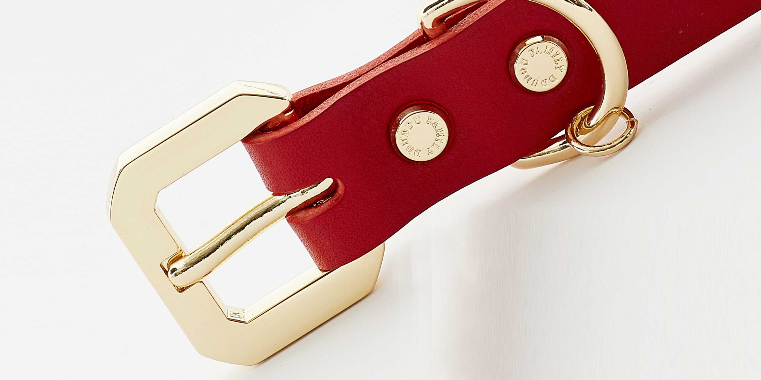 Golden Spike Red Collar - Majpet