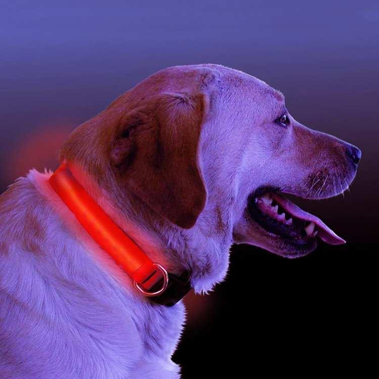 LED Light Dog Collar - Majpet