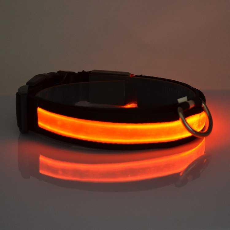 LED Light Dog Collar - Majpet