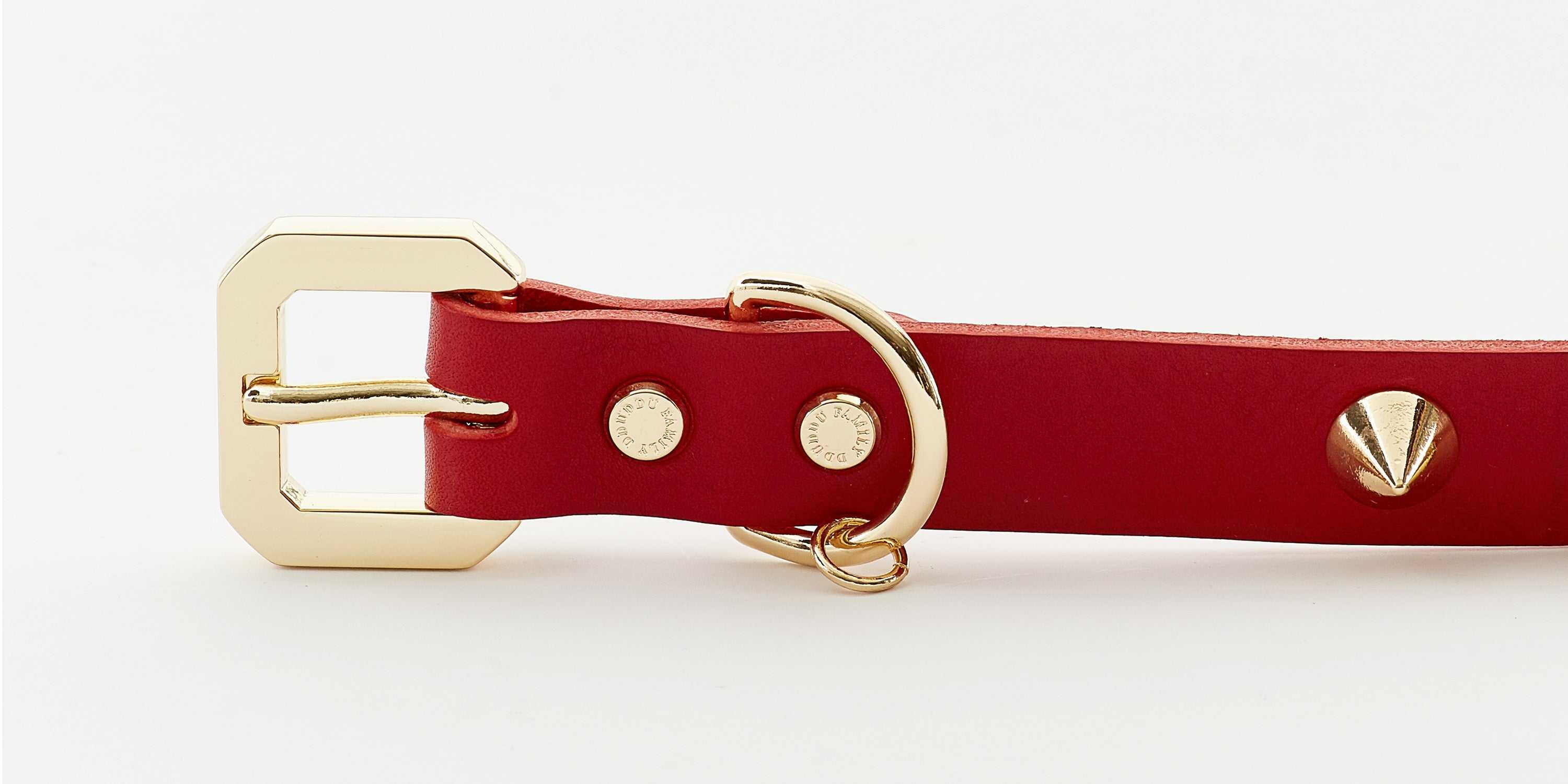 Golden Spike Red Collar - Majpet