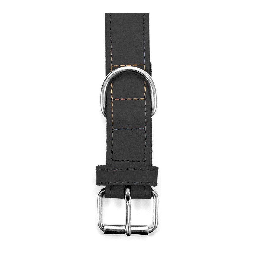 Dog collar Gloria Oasis Black (1,2 x 35 cm) - Majpet