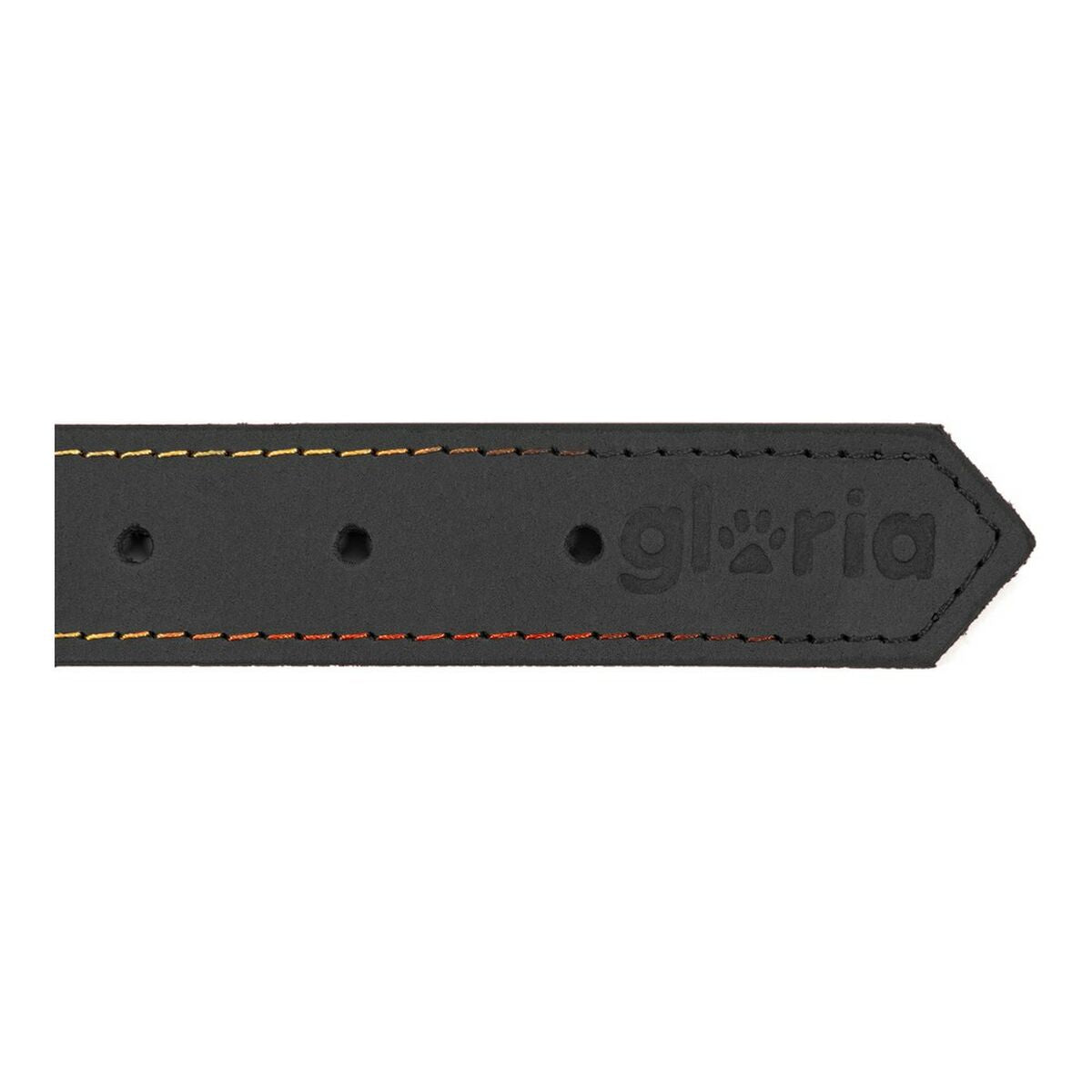 Dog collar Gloria Oasis Black (1,2 x 35 cm) - Majpet