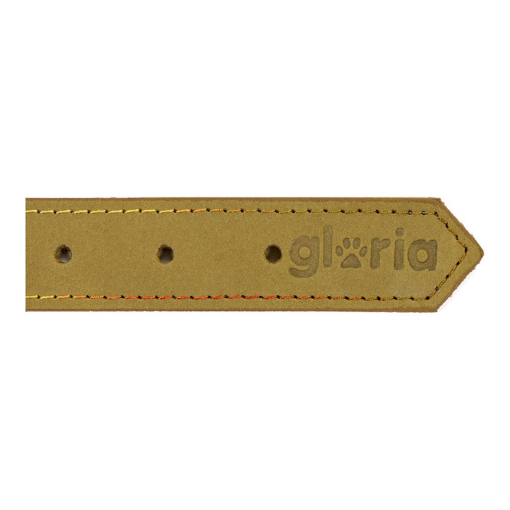 Dog collar Gloria Oasis Green (50 x 2,1 cm) - Majpet