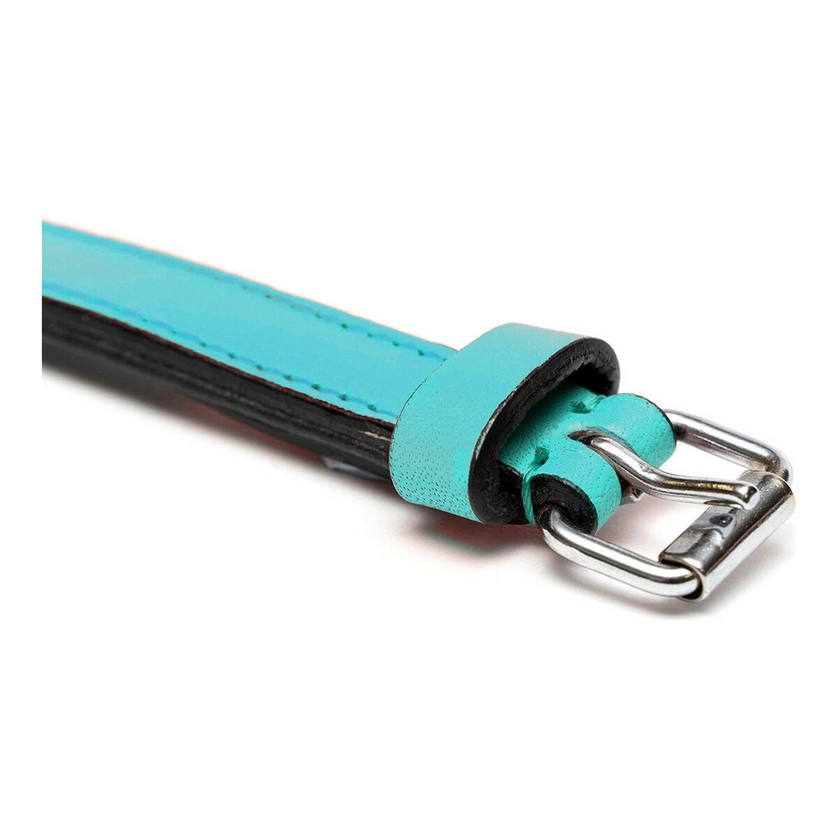 Dog collar Gloria Padded Turquoise 55 cm (55 x 2,5 cm) - Majpet