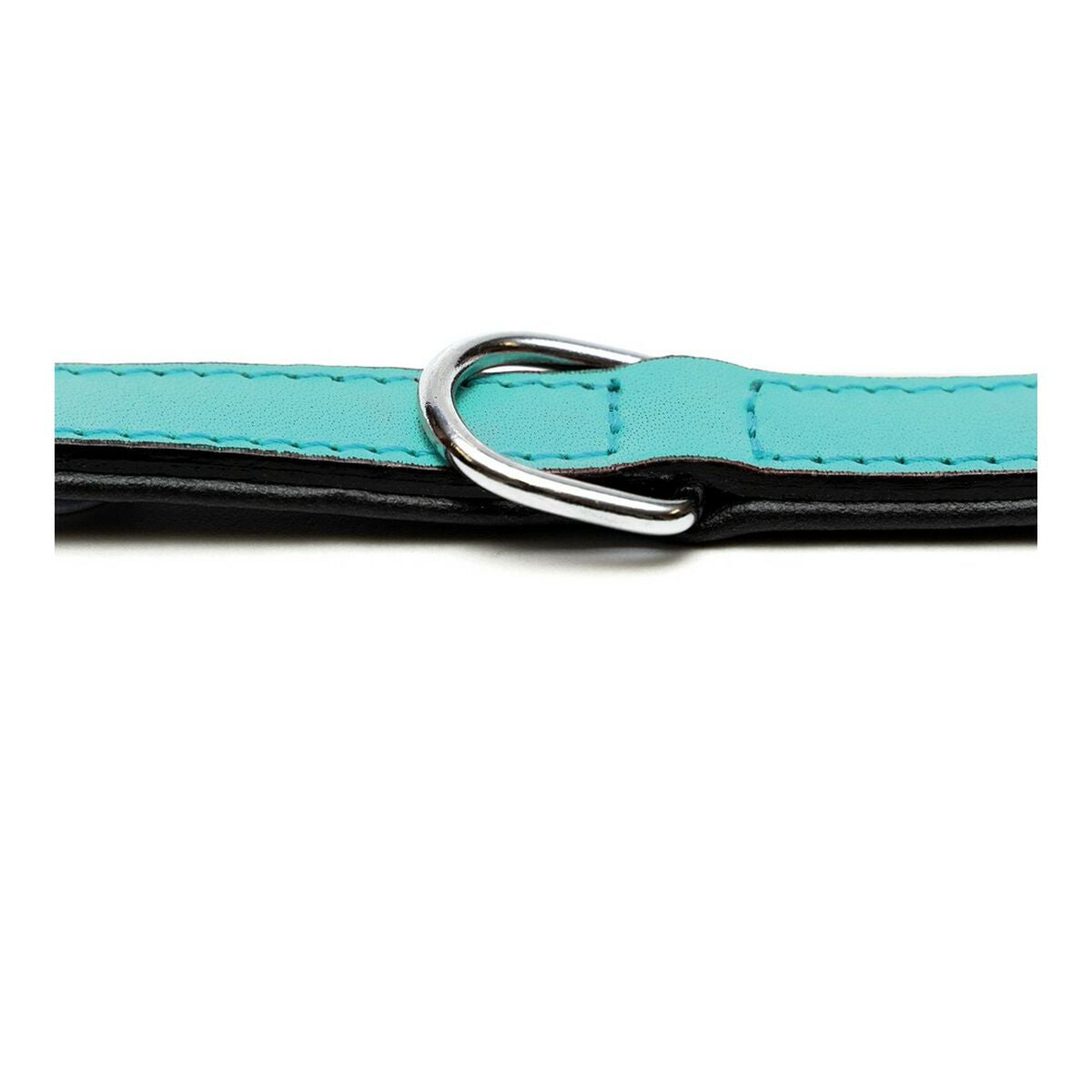 Dog collar Gloria Padded Turquoise 55 cm (55 x 2,5 cm) - Majpet