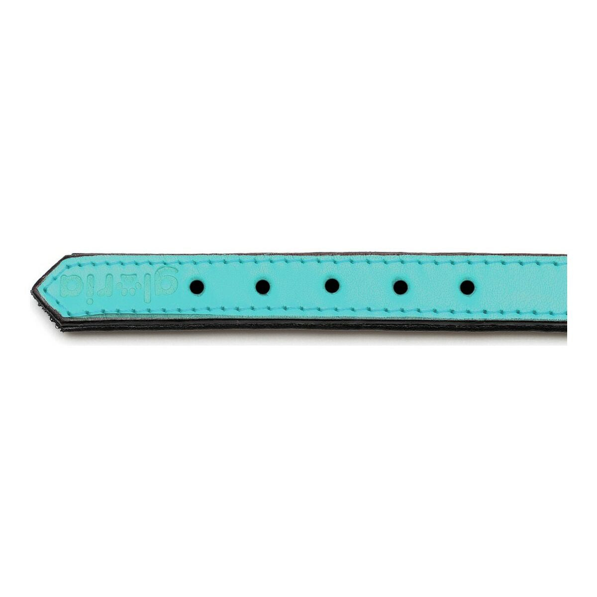 Dog collar Gloria Padded Turquoise 55 cm (55 x 2,5 cm) - Majpet