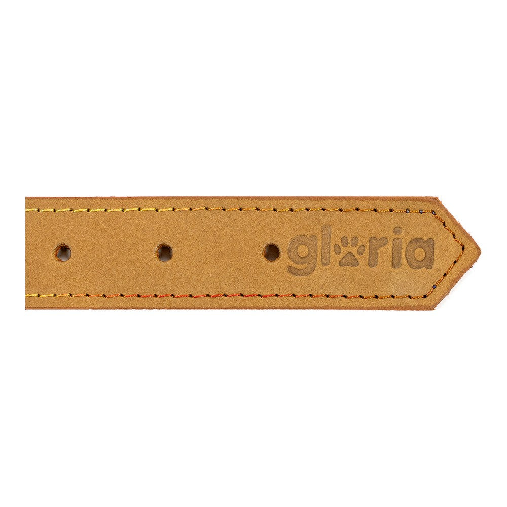 Dog collar Gloria Oasis Yellow (35 x 1,2 cm) - Majpet