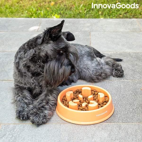 Slow Eating Food Bowl for Pets - Majpet