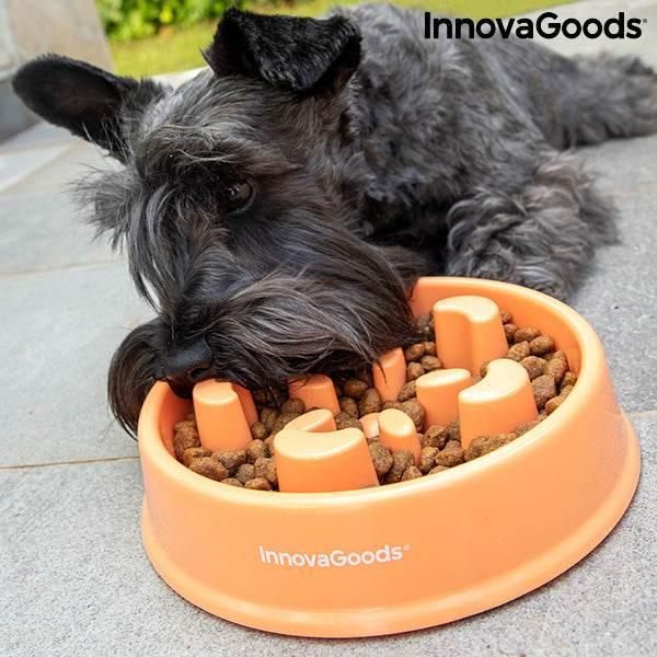 Slow Eating Food Bowl for Pets - Majpet