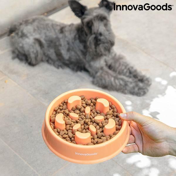 Slow Eating Food Bowl for Pets - Majpet