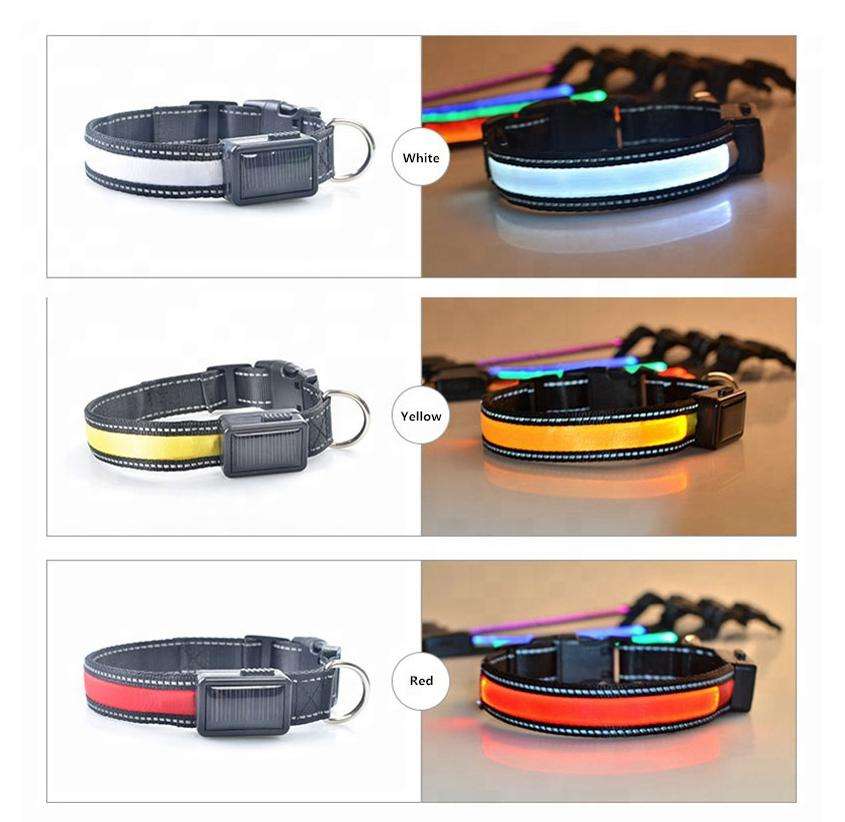 USB and Solar Charge Reflective Led Dog Collar - Majpet