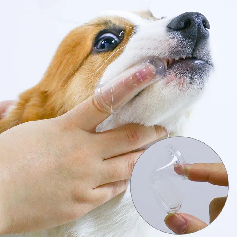 Super Soft Pet Finger Toothbrush Teddy Dog Brush Bad Breath Tartar - Majpet