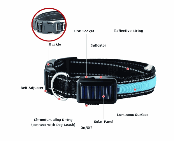 USB and Solar Charge Reflective Led Dog Collar - Majpet