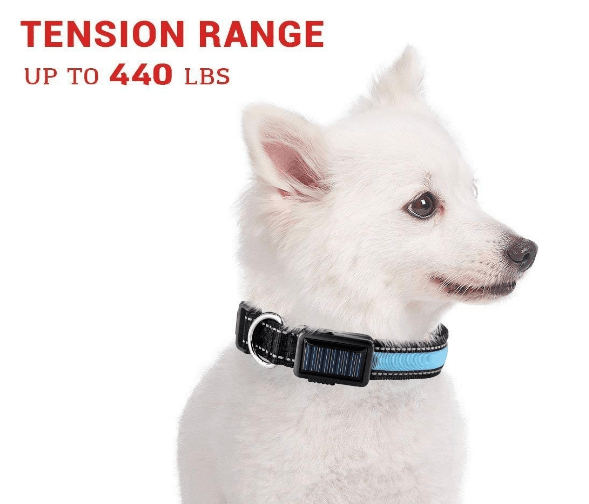 USB and Solar Charge Reflective Led Dog Collar - Majpet