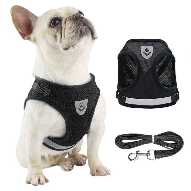 Pet Leash Undershirt Harnesses Mesh Breathable Adjustable Easy Control - Majpet