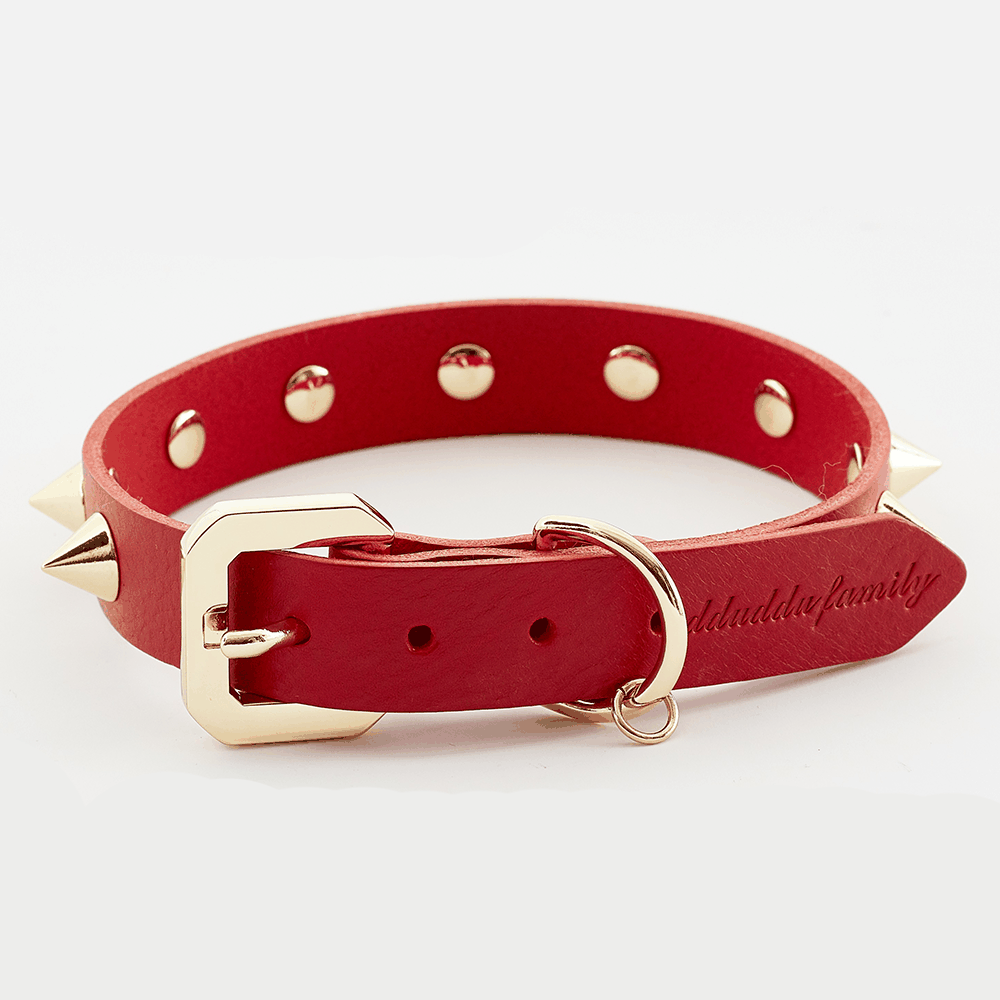 Golden Spike Red Collar - Majpet