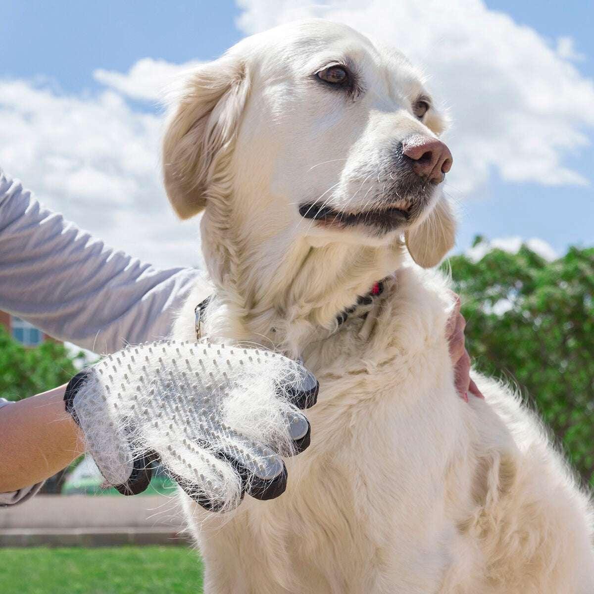 Pet Brush & Massage Glove Relpet InnovaGoods - Majpet