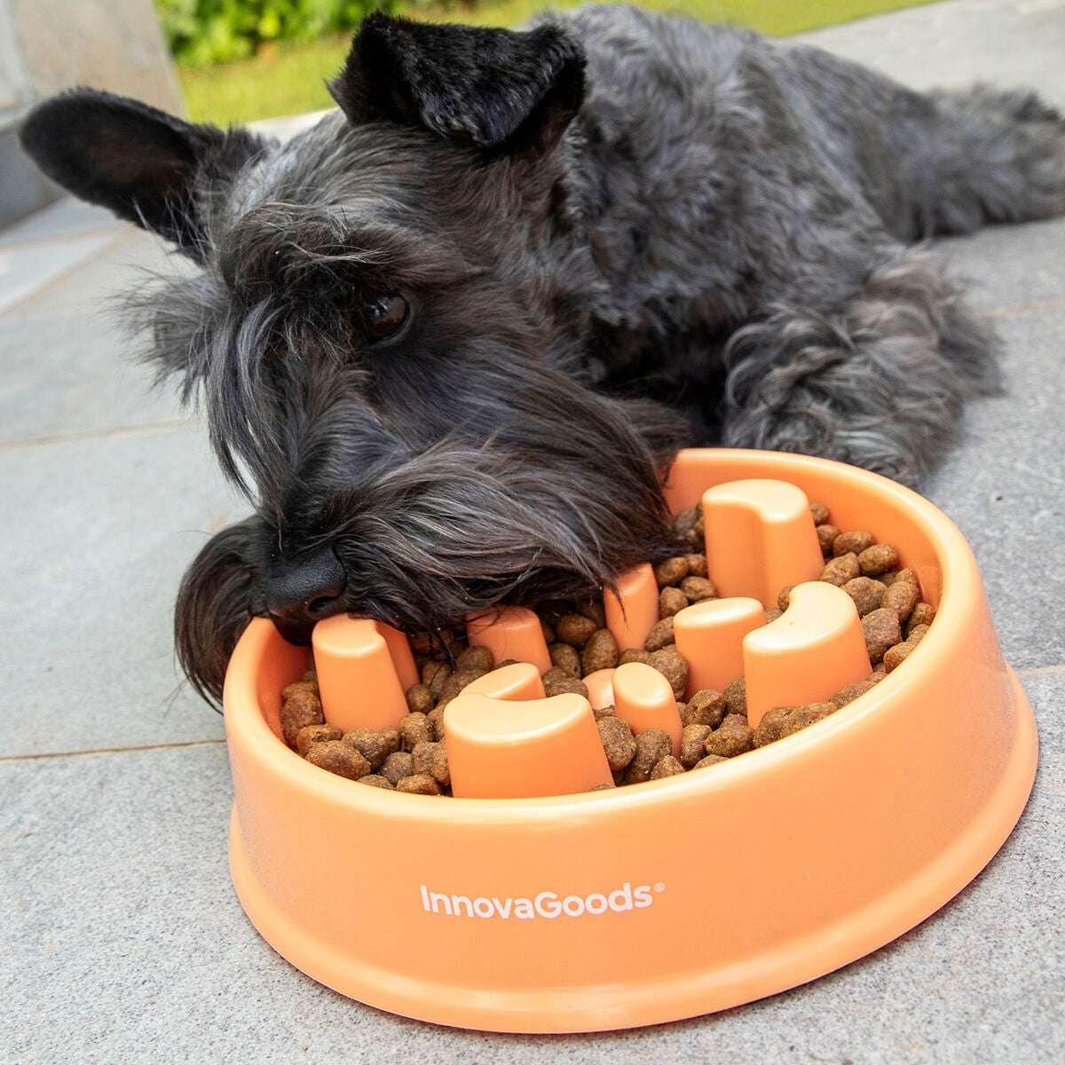 Slow Eating Food Bowl for Pets - Majpet