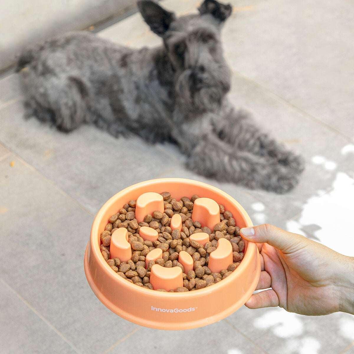 Slow Eating Food Bowl for Pets - Majpet