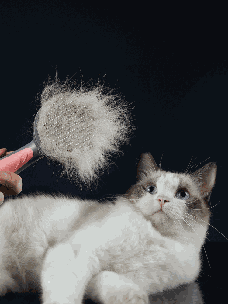 Pet Hair Brush - Majpet