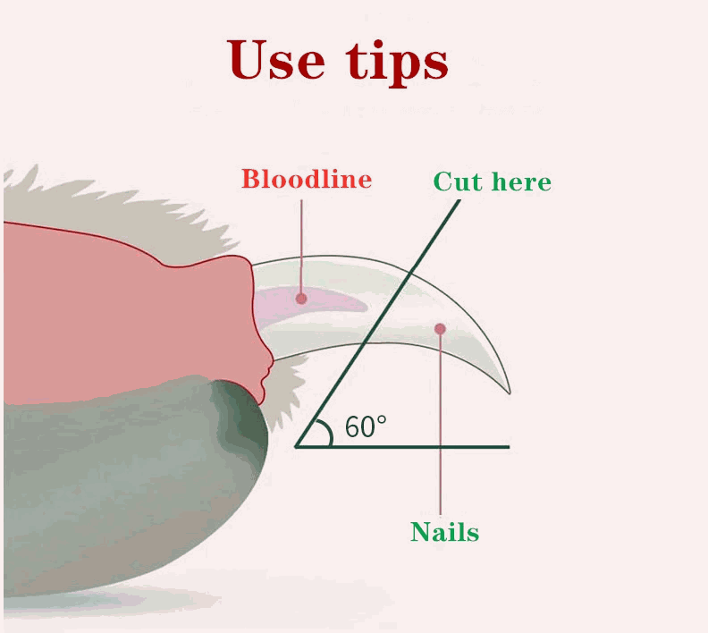 Pet Nail Scissors LED Cat Nail Clipper Trimmer - Majpet
