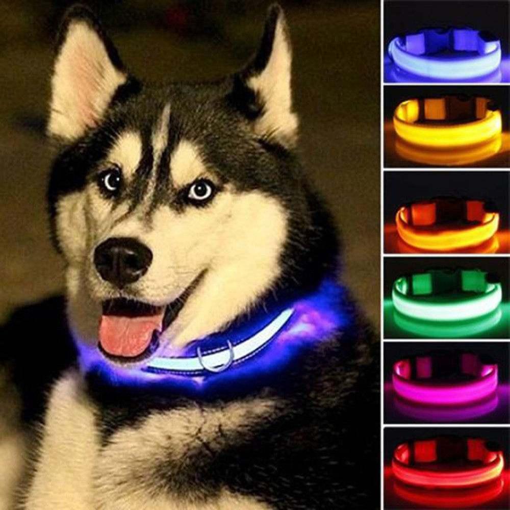 2 PCS Set Nylon LED Dog Collar - Majpet