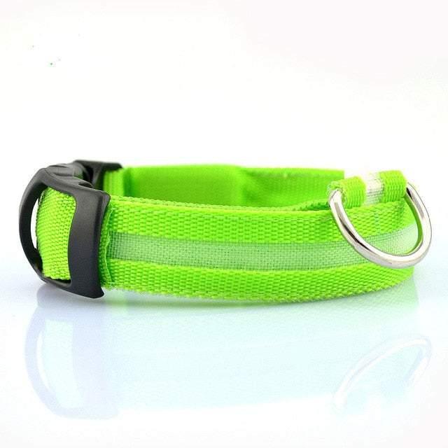 2 PCS Set Nylon LED Dog Collar - Majpet