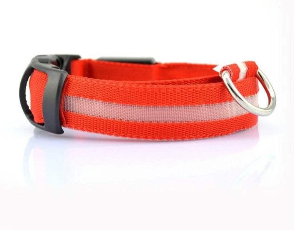 2 PCS Set Nylon LED Dog Collar - Majpet